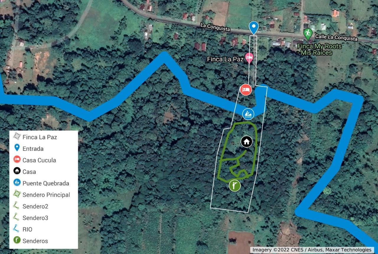 Finca La Paz - Sarapiqui Puerto Viejo de Sarapiqui Kültér fotó