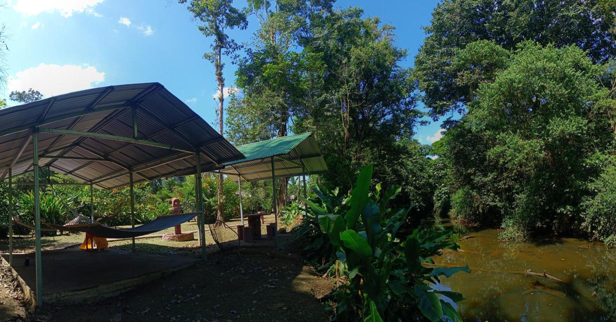 Finca La Paz - Sarapiqui Puerto Viejo de Sarapiqui Kültér fotó