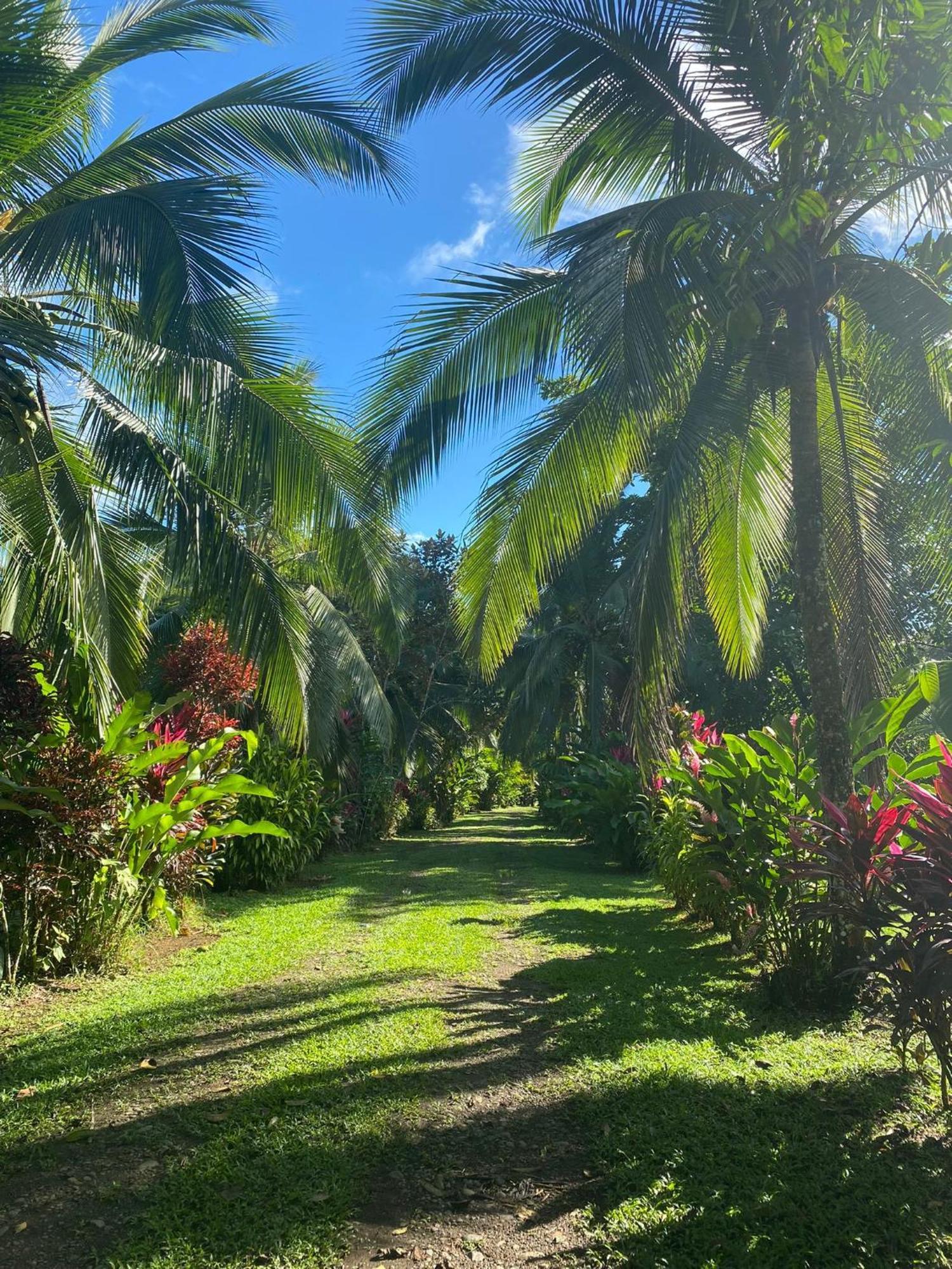 Finca La Paz - Sarapiqui Puerto Viejo de Sarapiqui Kültér fotó